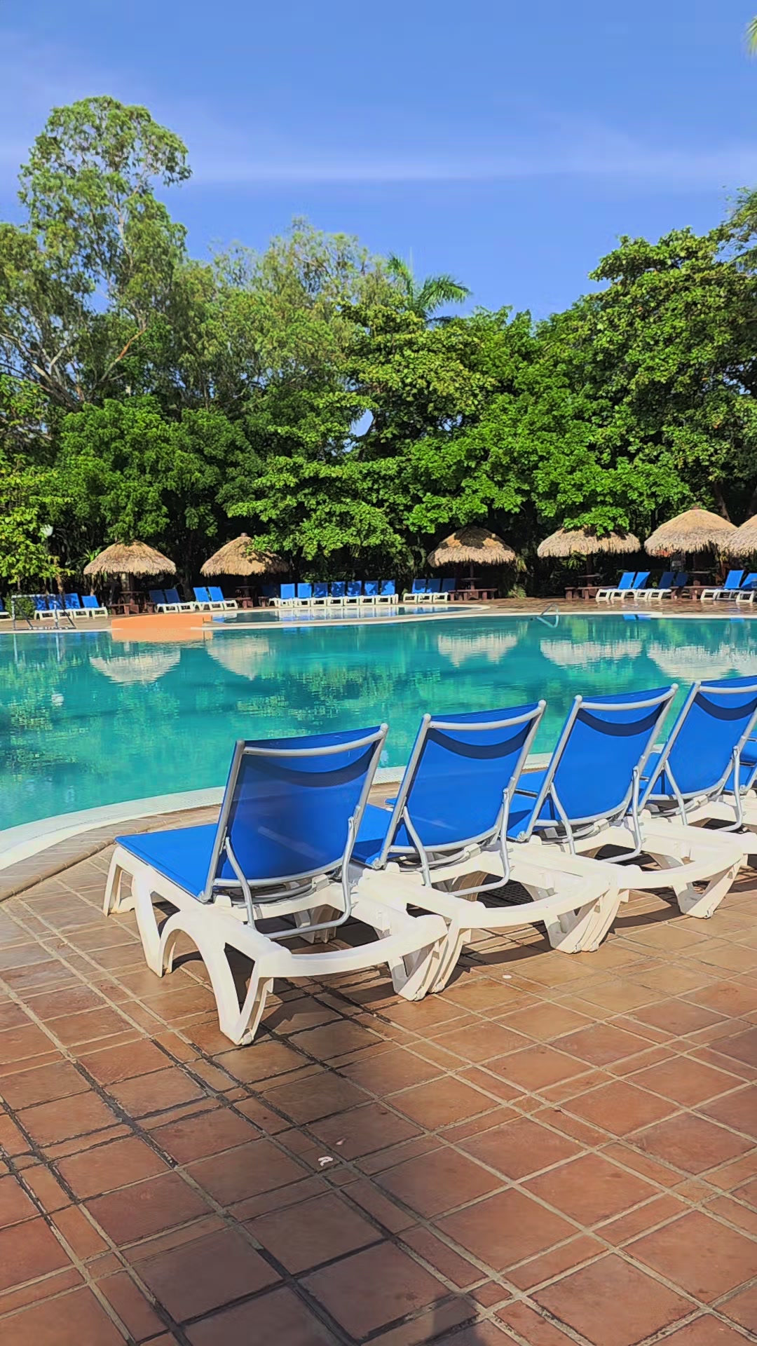 @Agencia Montelimar 🌊☀️🌴