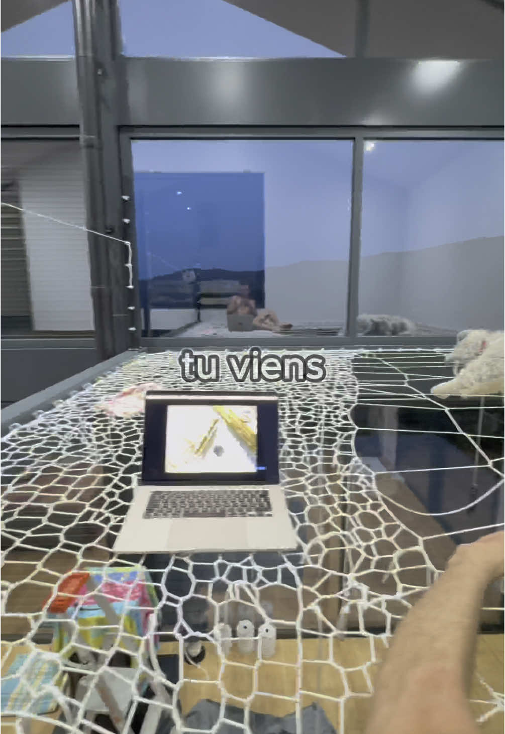 @Wildtreenet