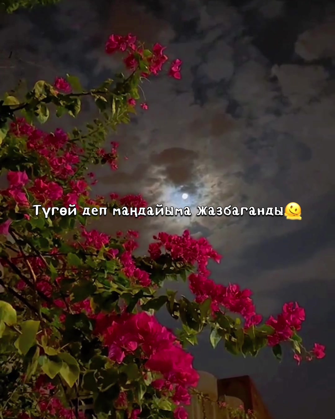 @Тгк: xteRiko🥇