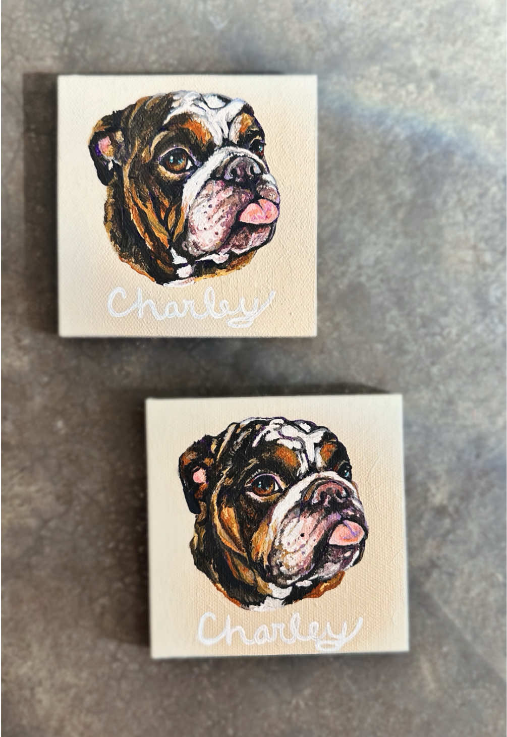 @Pet Portrait Artist