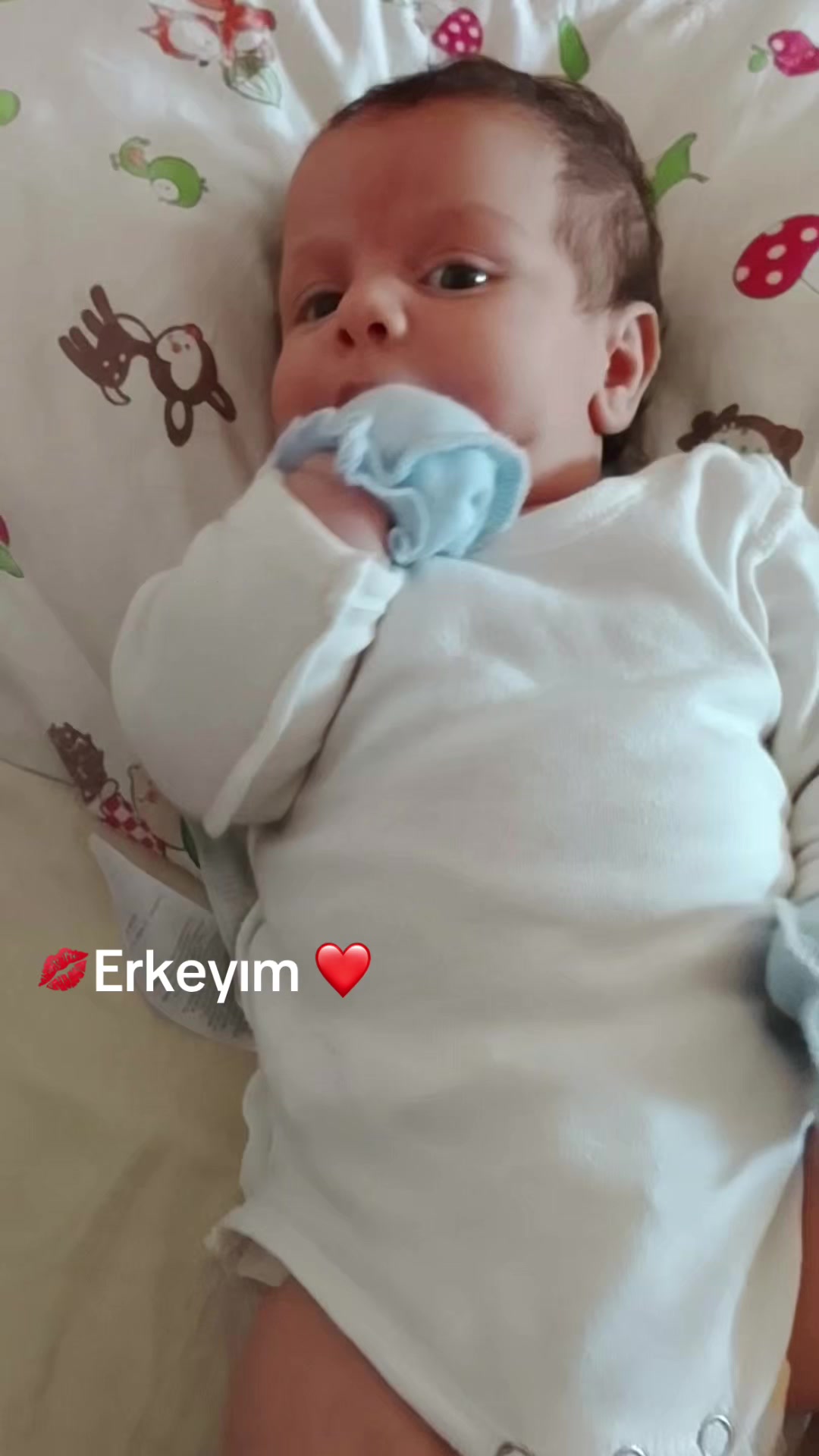 @nigyarsulman