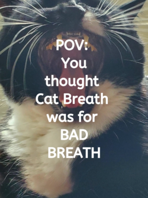 @Doctor By
