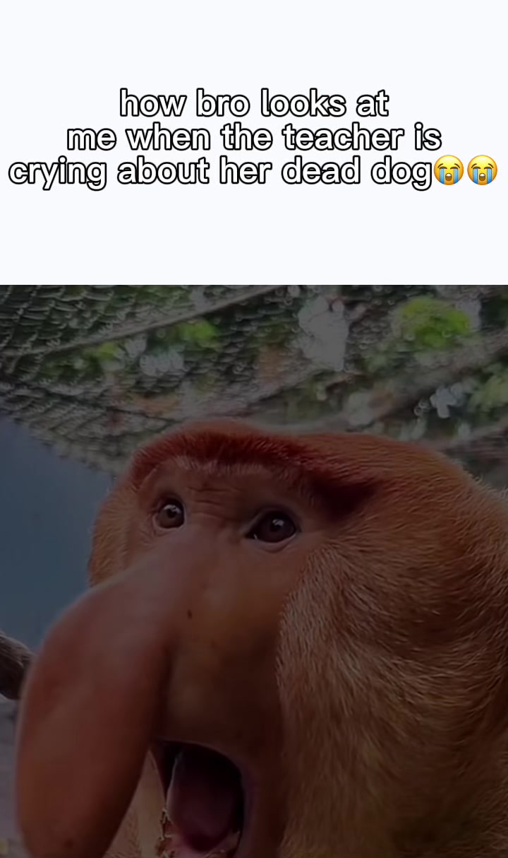 @Kiyan🔫🧀🥷🏿🤣🧟♂️🏈🏀