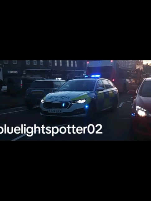 @blue light spotter02