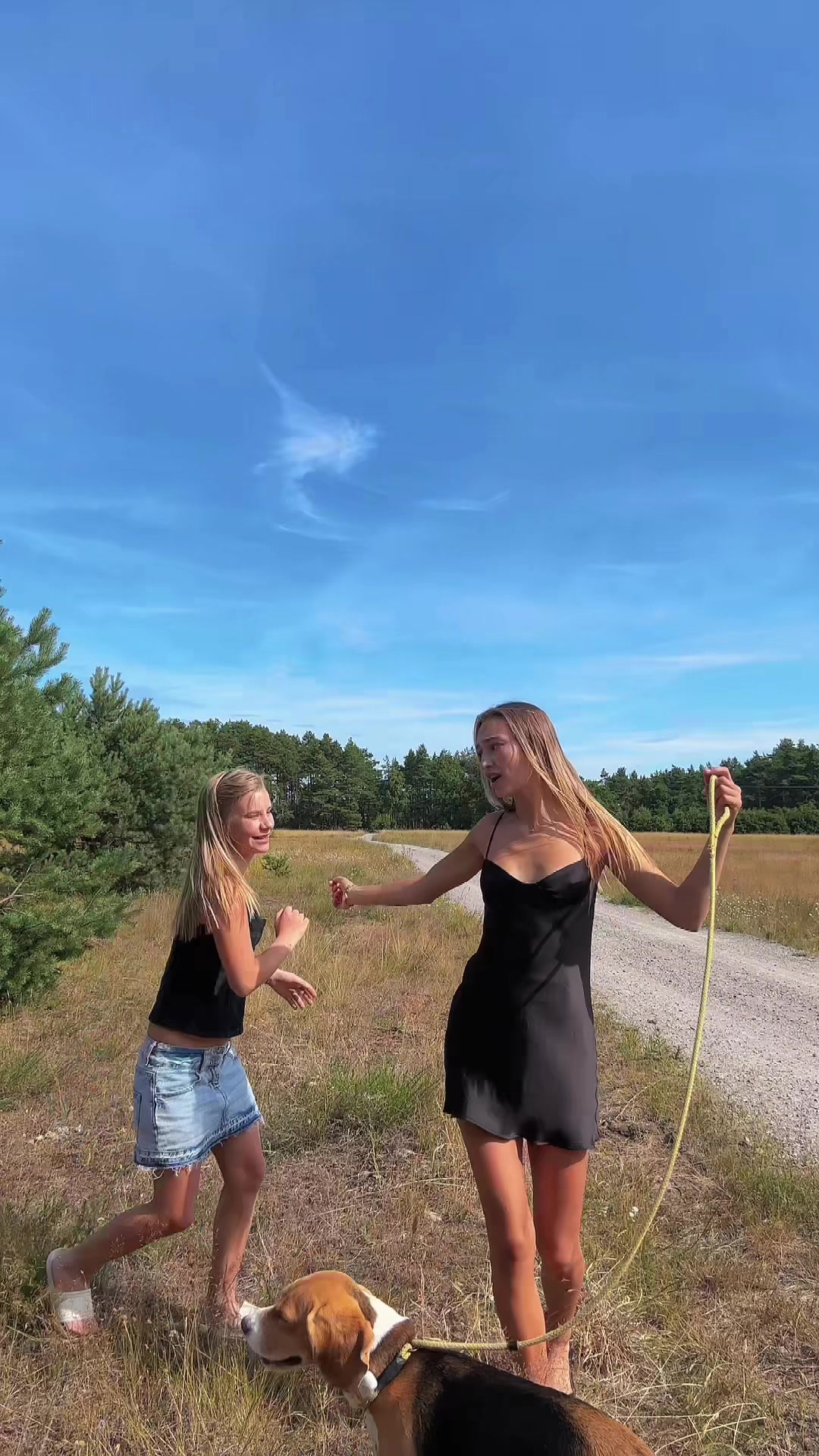 @agnes dahlqvist