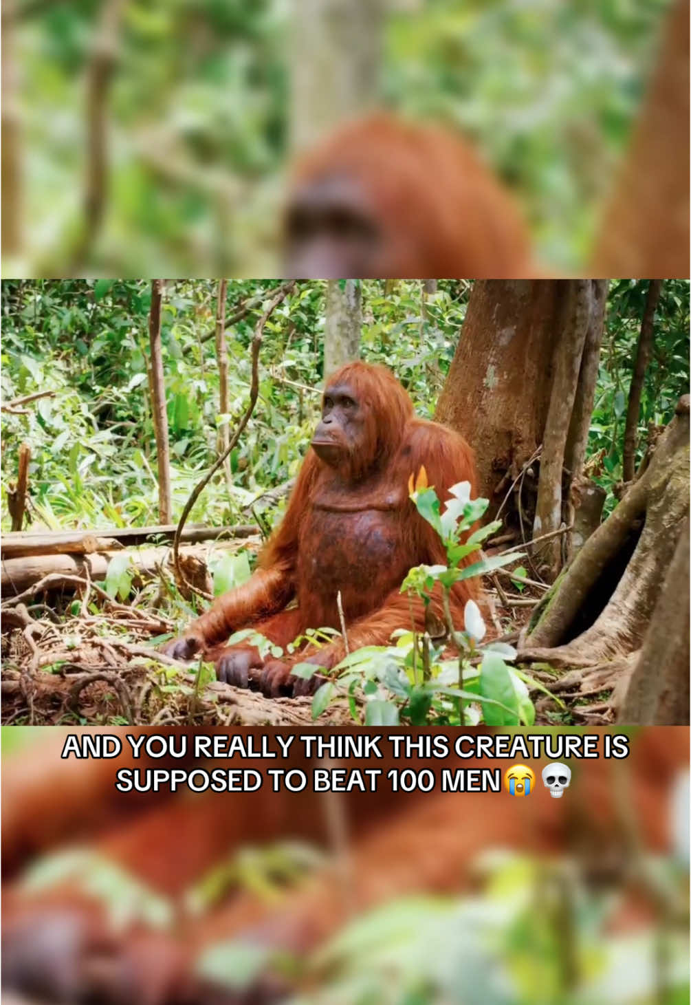 @wonderloopsvideo