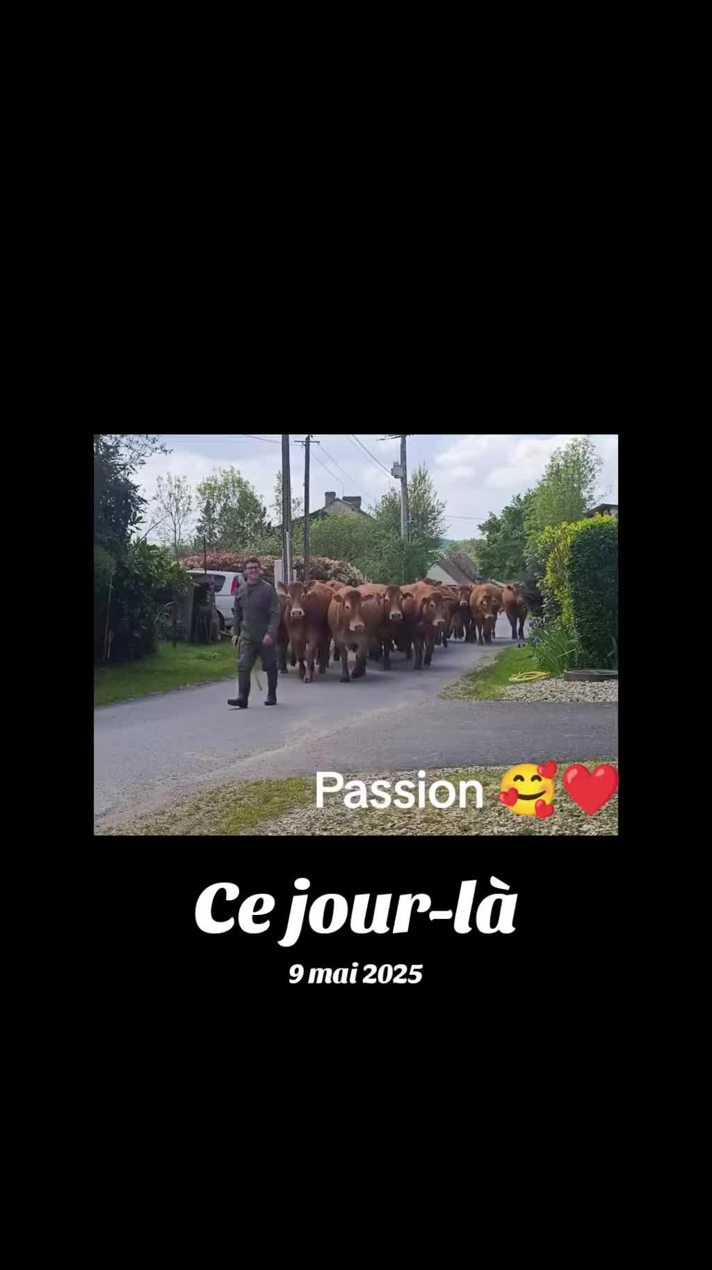 @Ludivine 🐶🐮
