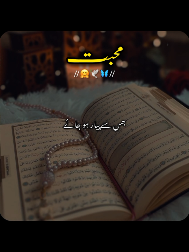 @✨Shahbaz-edit✨