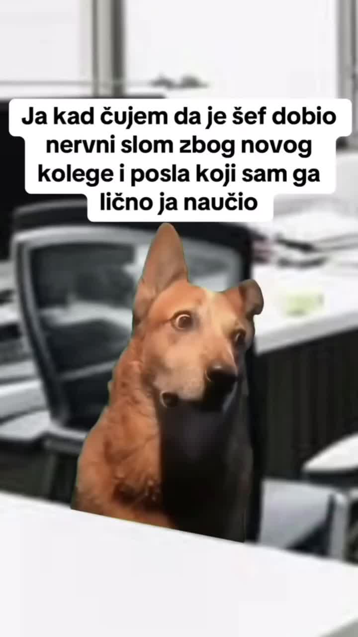 @BalkanZabava