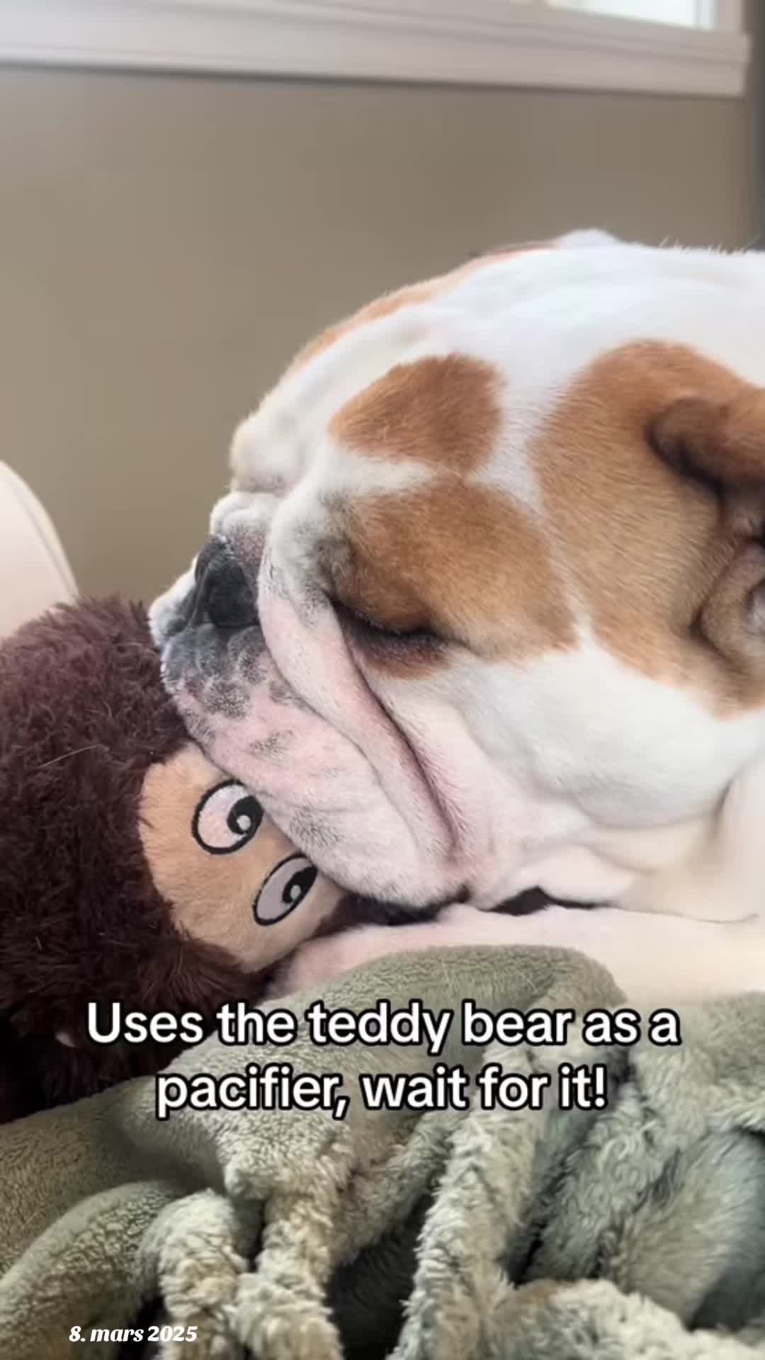 @bobandflodie