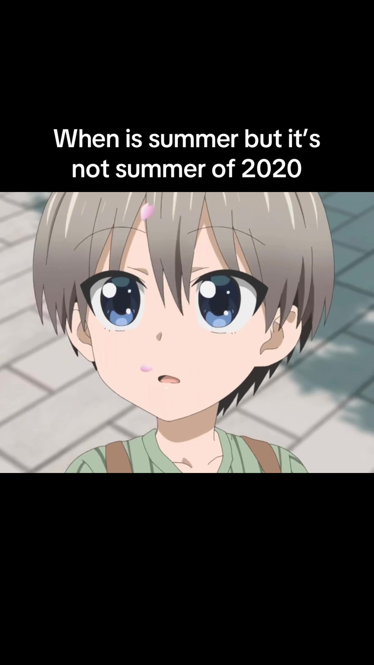 @Uzaki chan >>>