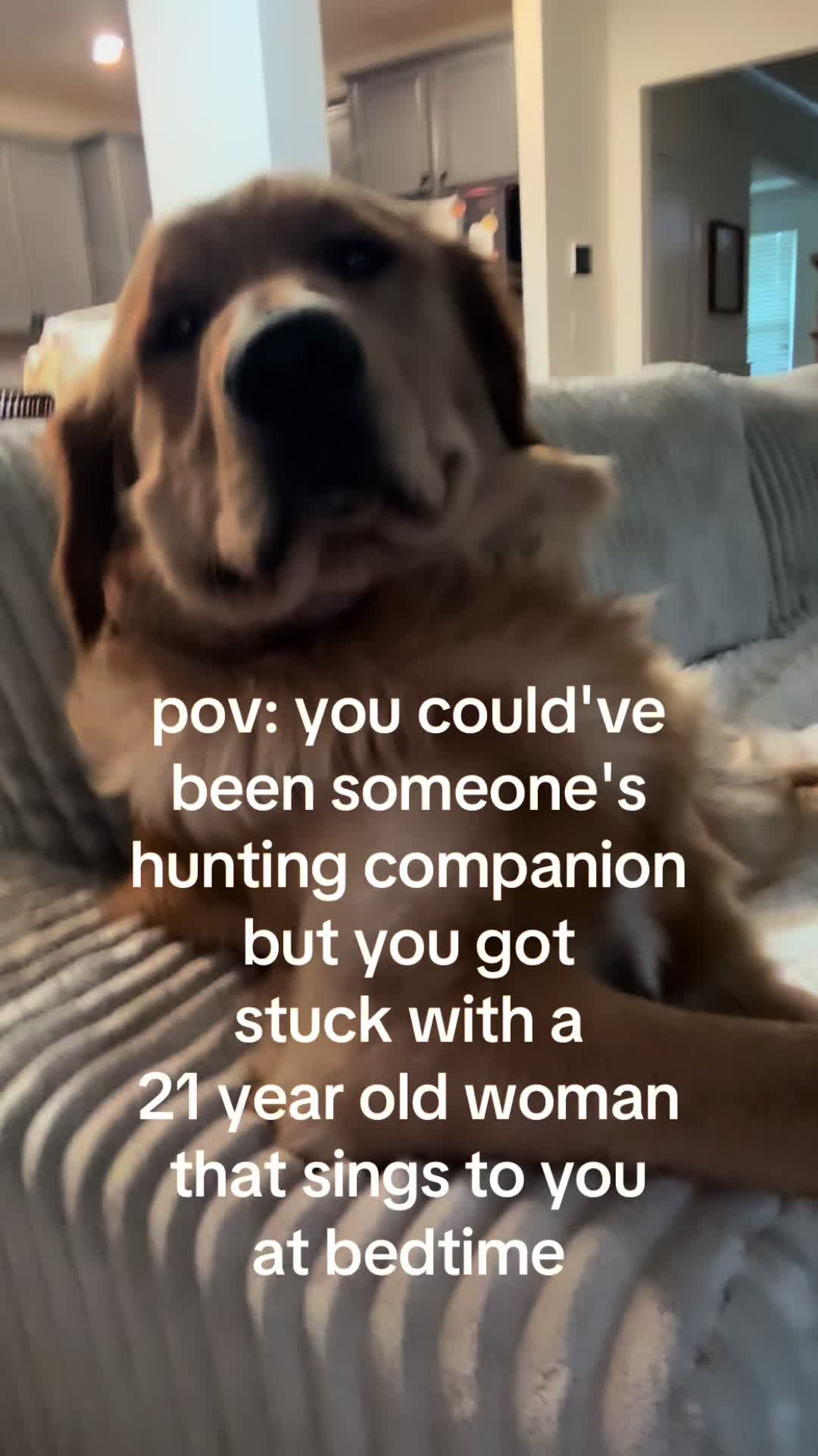@Maverick McPaws