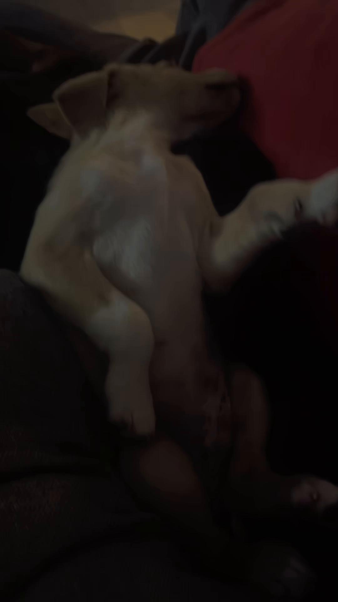 @Megan Helms Smith