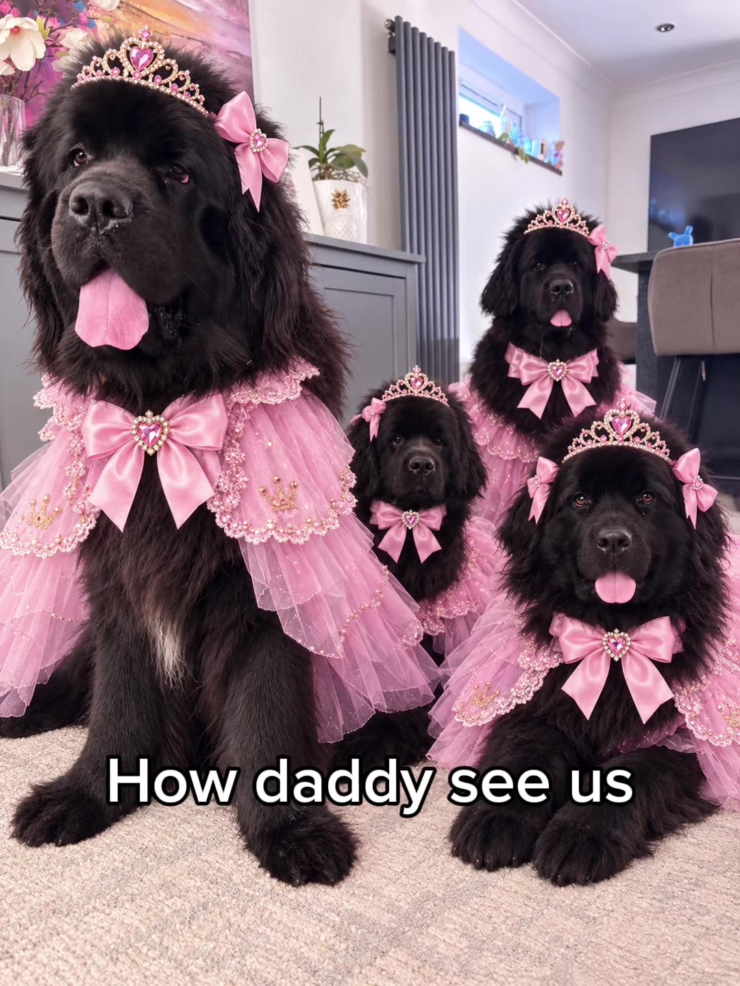 @Newfypups