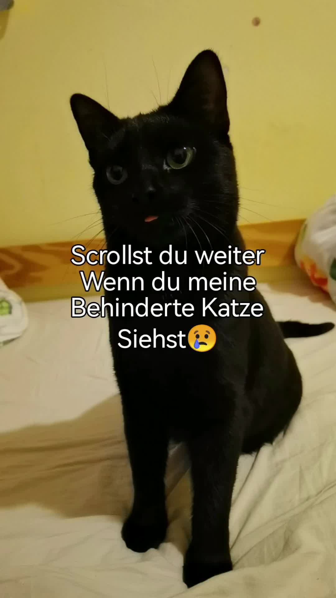 @juli🇩🇪🇺🇸🇷🇺
