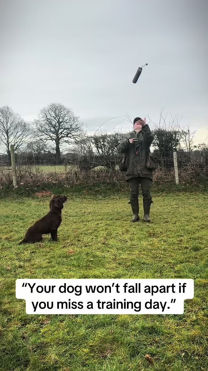 @Trails For Tails Dog Training