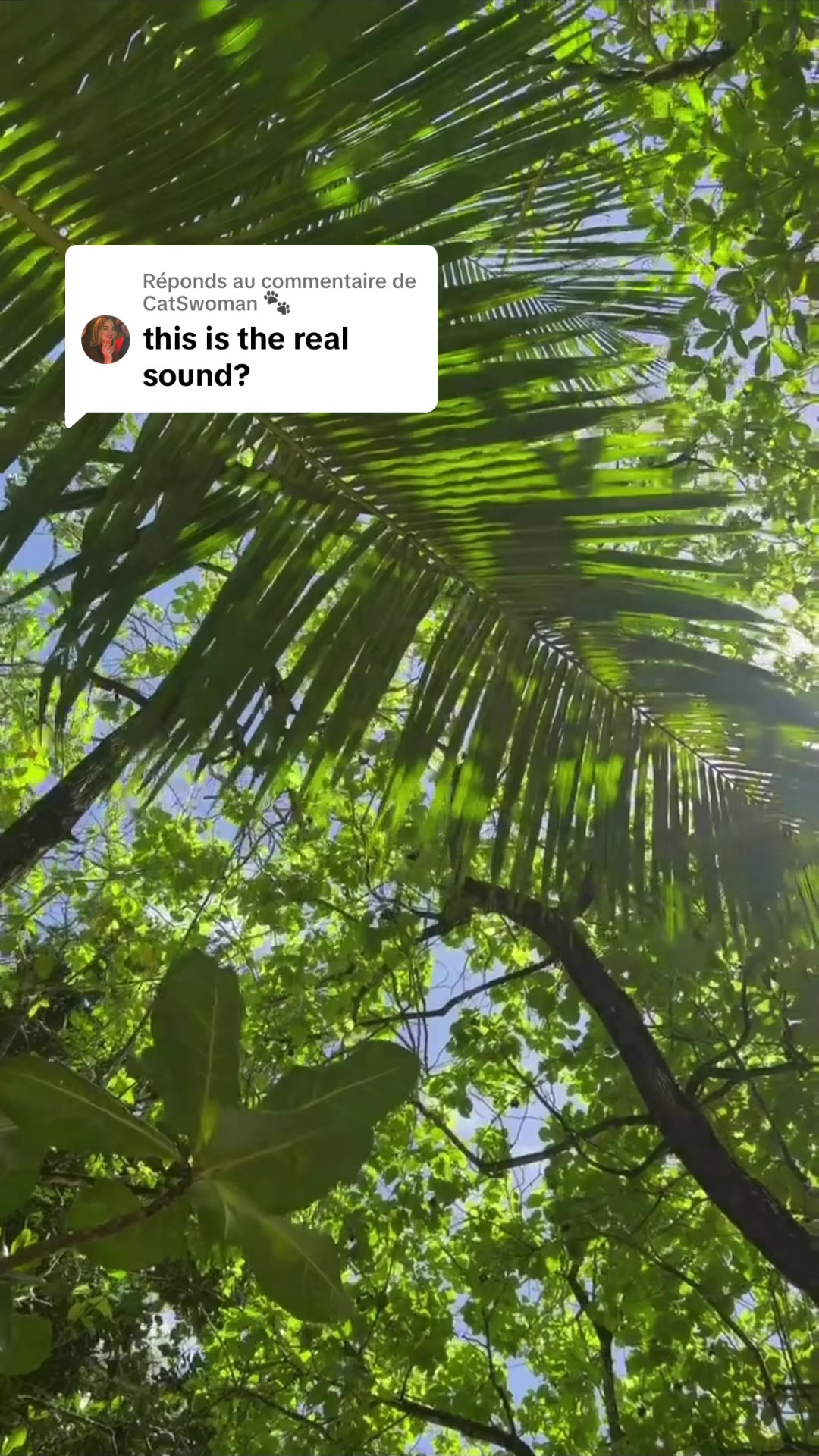 @Josephinelooten
