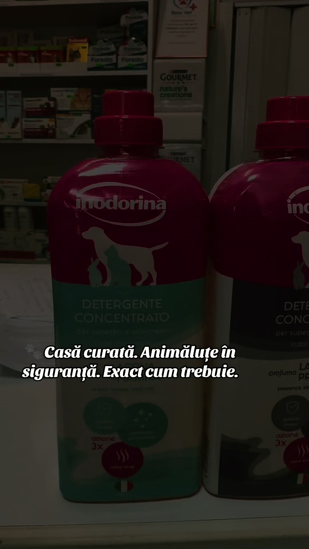 @Ecco-Vet by Dr. Diana Oprea