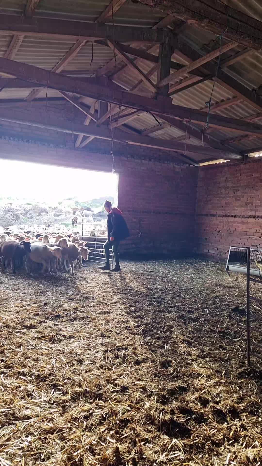 @Ari La Pastora