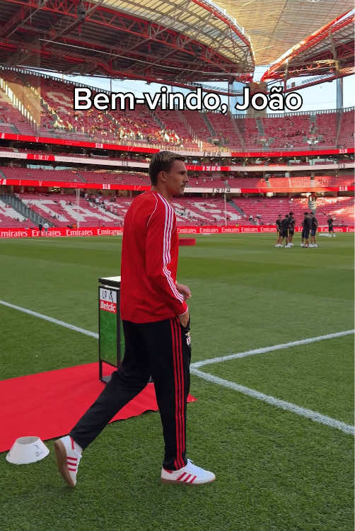 @SLBenfica