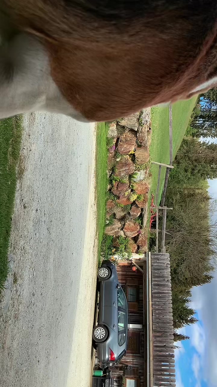 @MagdaMelo