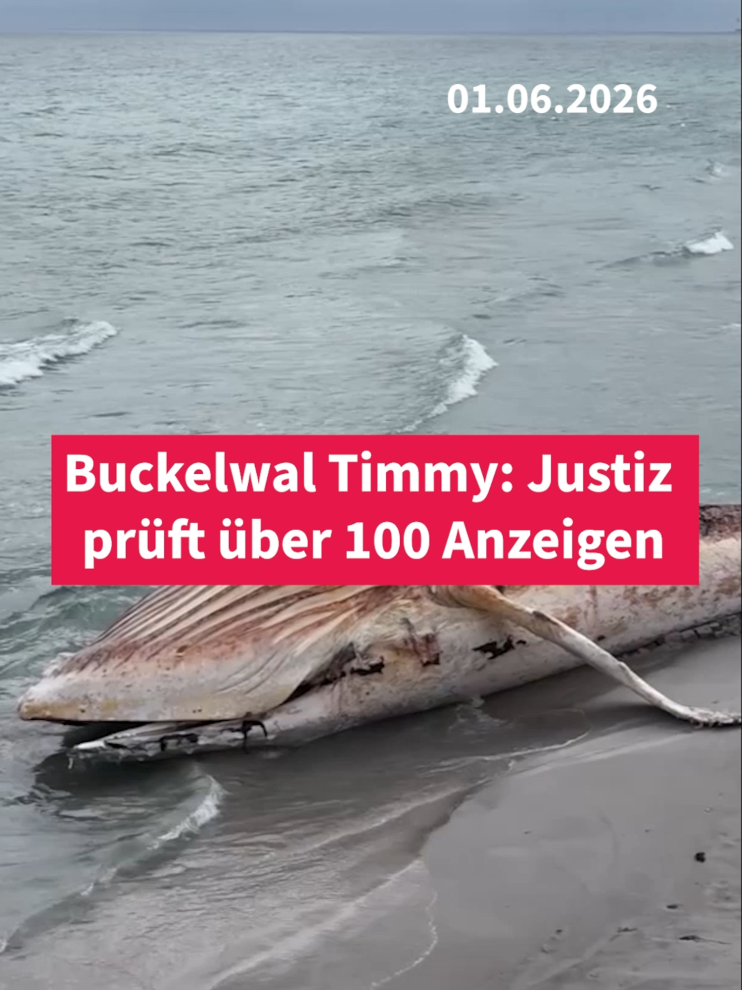 @Frankfurter Allgemeine