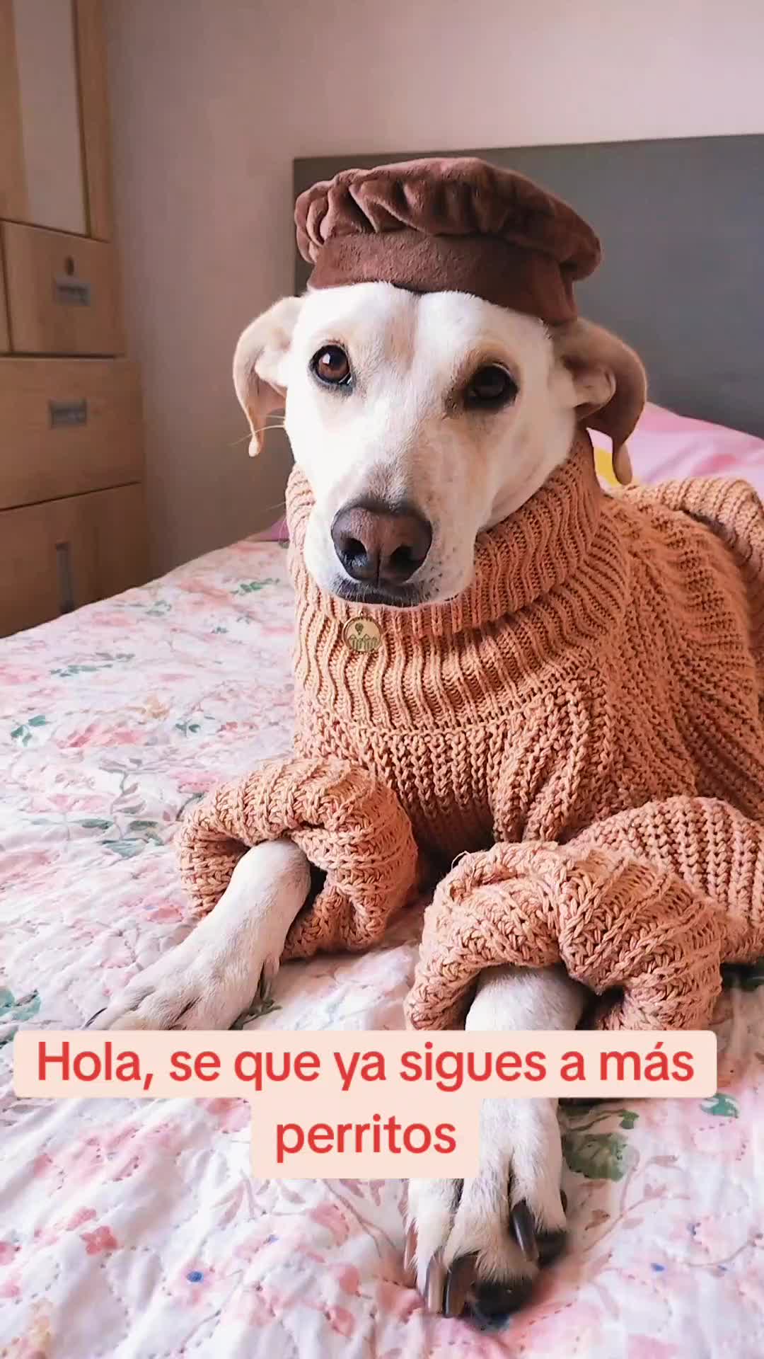 @winnie ❤🦮