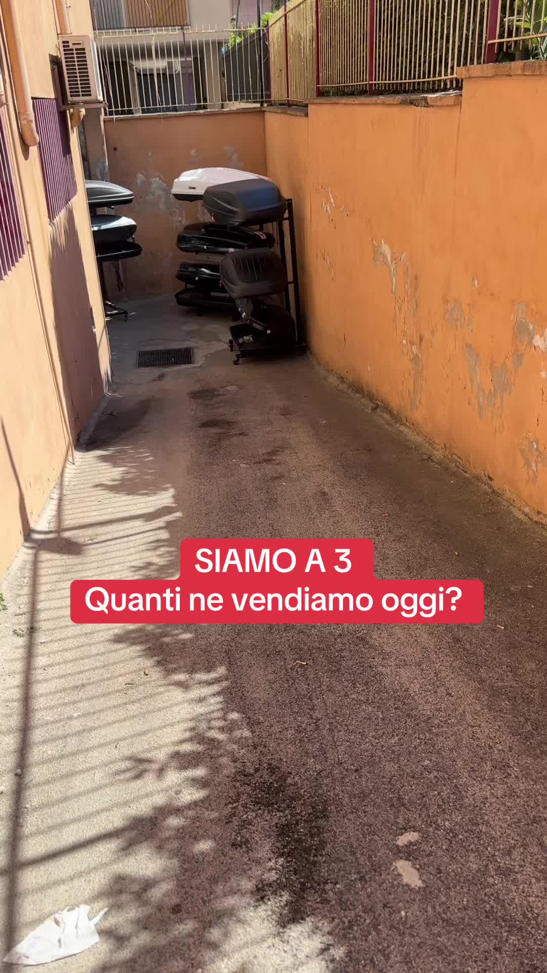 @Raicar accessori auto