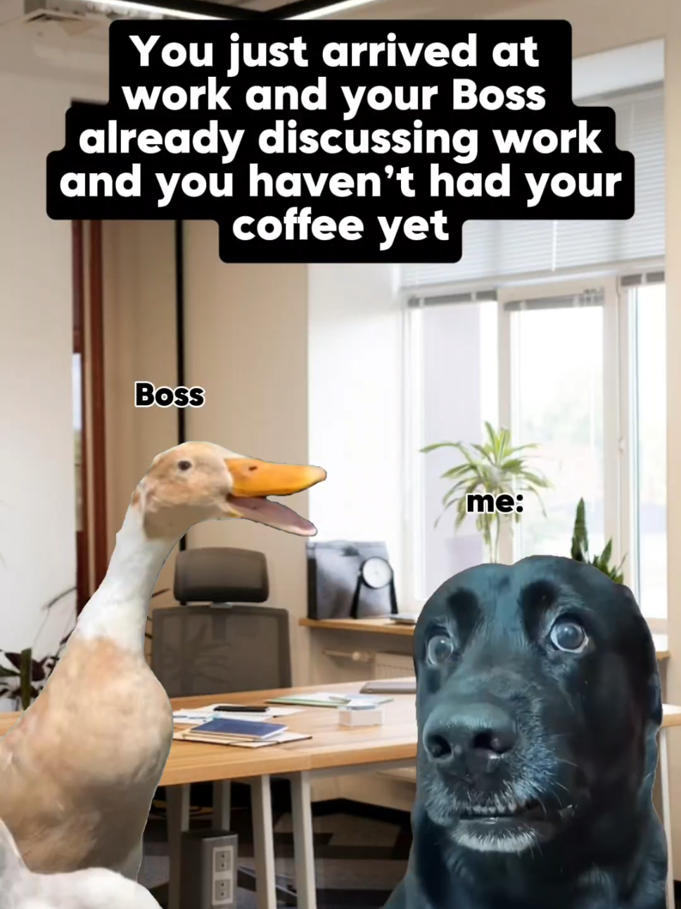 @MrNowTech