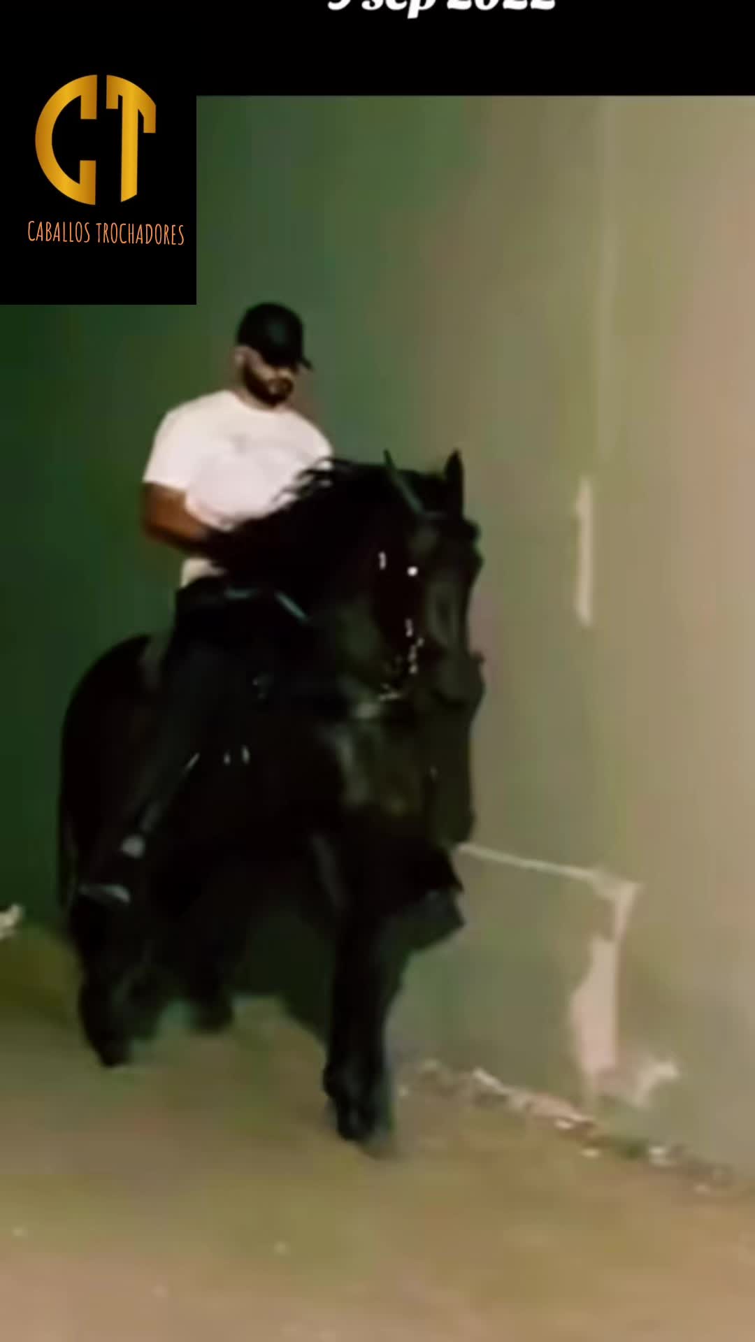 @Caballostrochadores