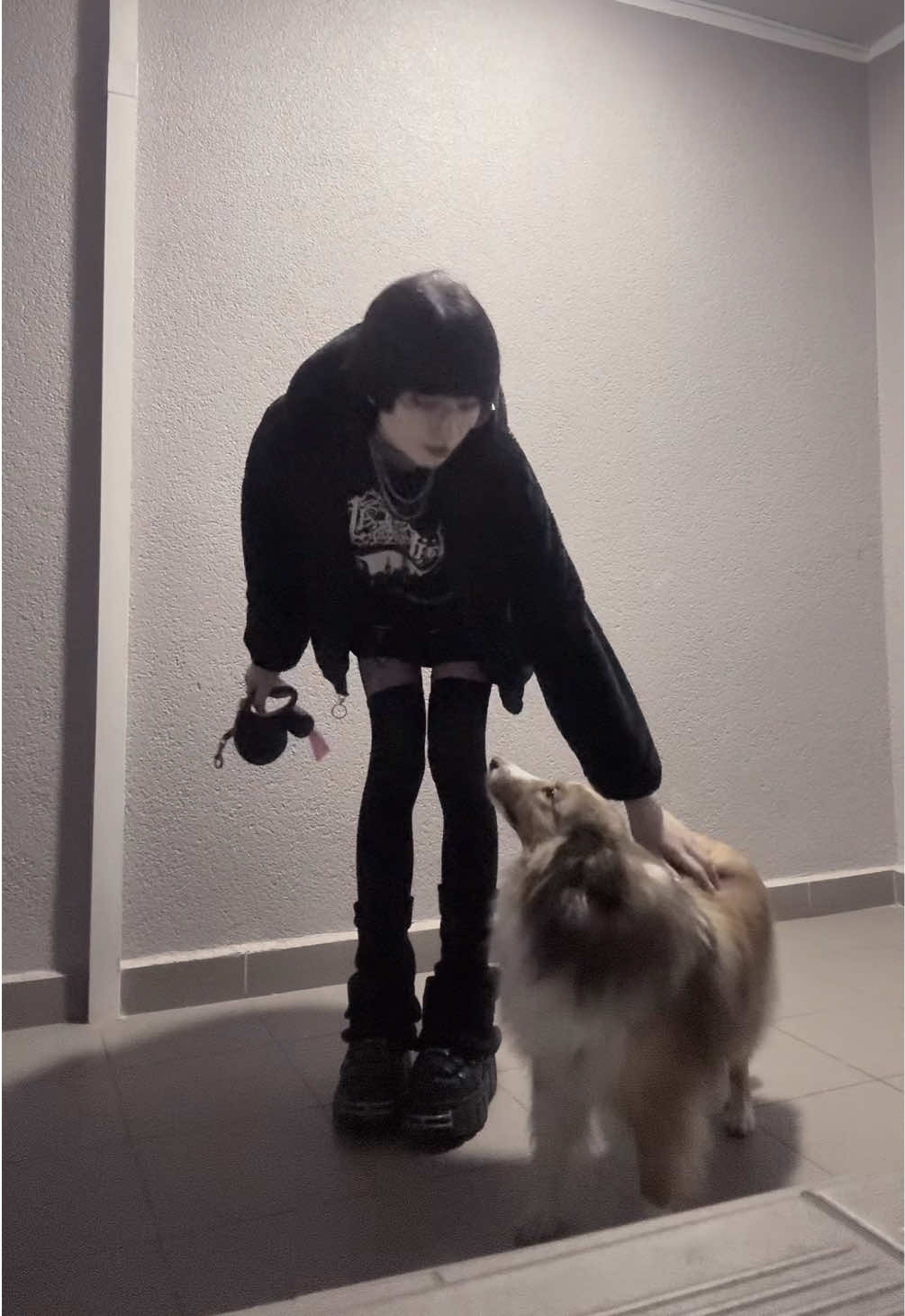 @dori :3