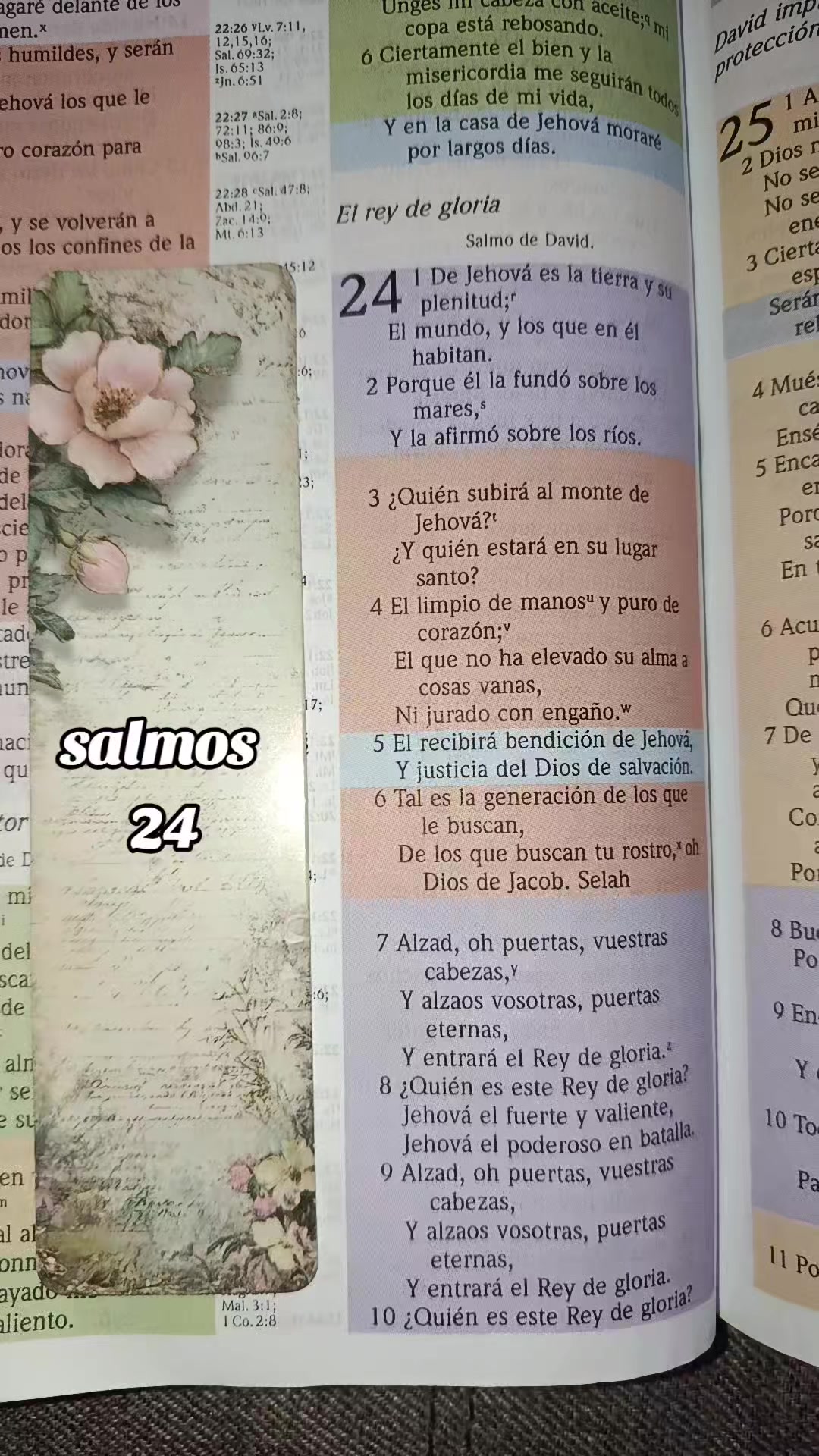 @Mery salud y reflexiones
