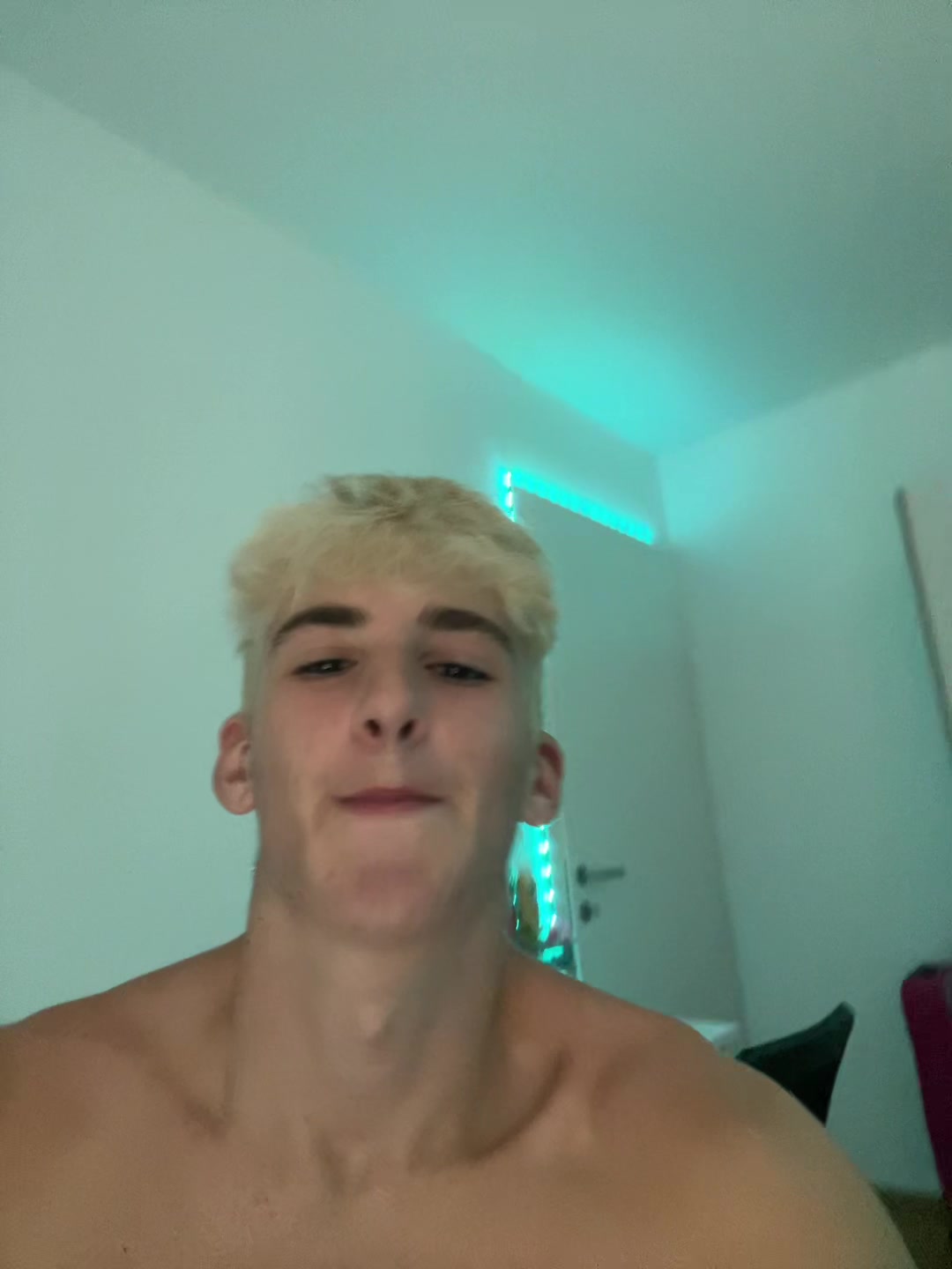 @F A L K O