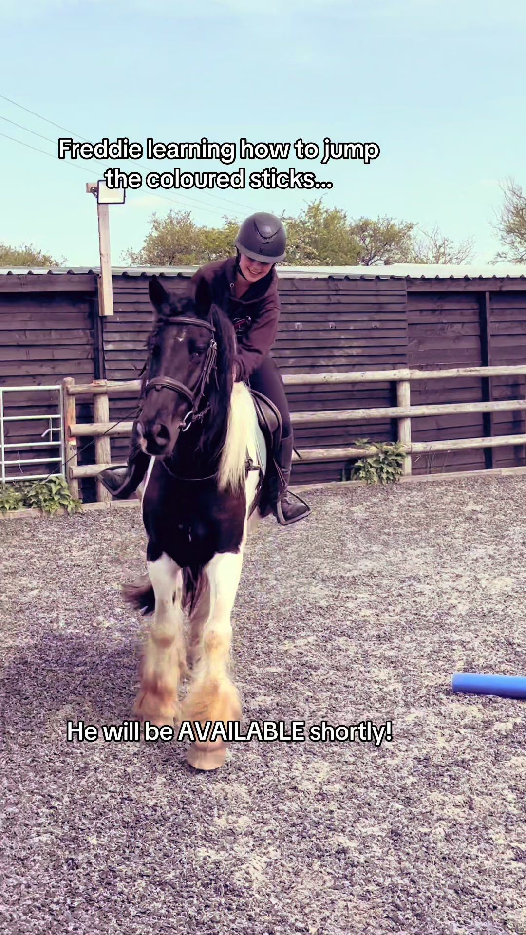 @LW_Equestrian