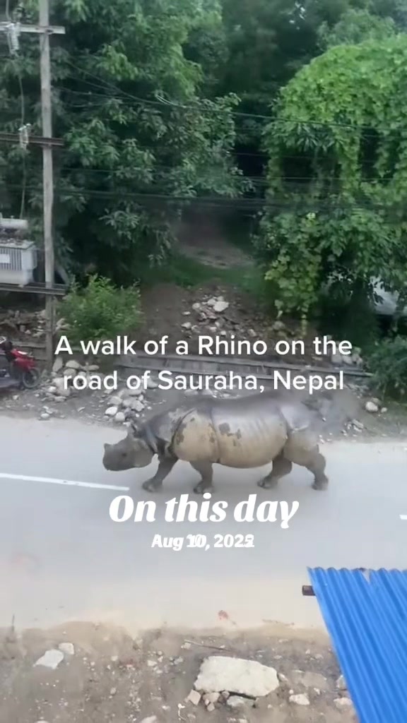 @Rosn🇳🇵🇨🇦