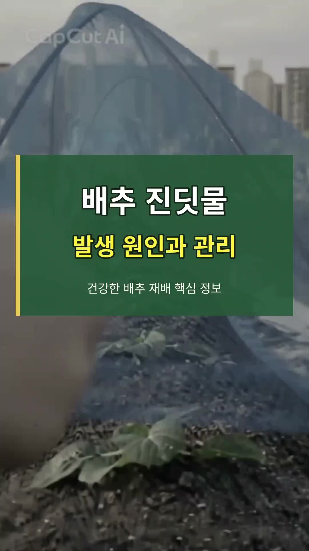 @곽용민