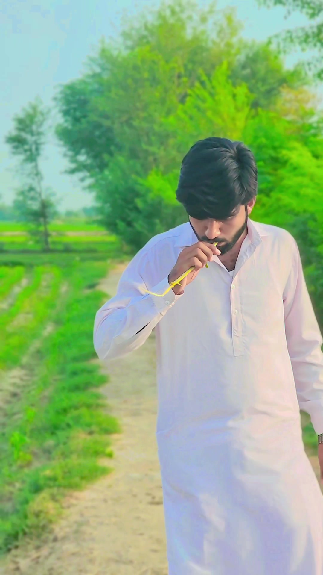@shafqat07