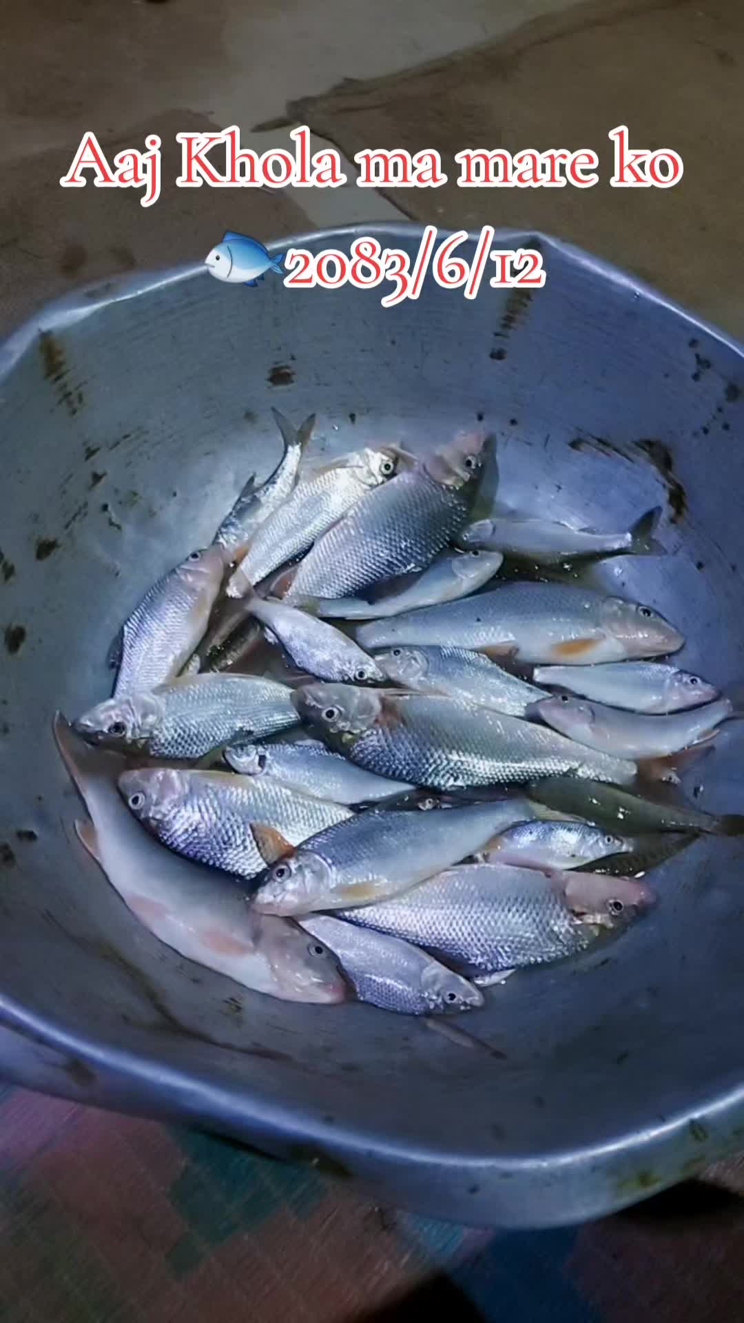 @๐พ๐๐๐๐ โ๐๐_๐ผ๐ _๐ฟโค๏ธ๐ฃ๐