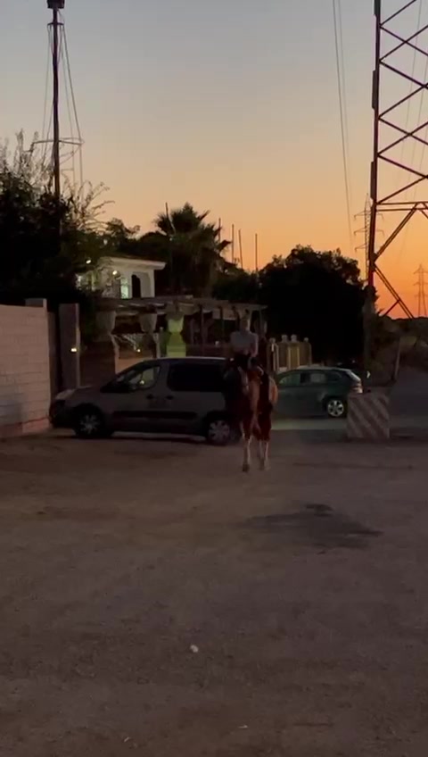 @nnoelia_rg