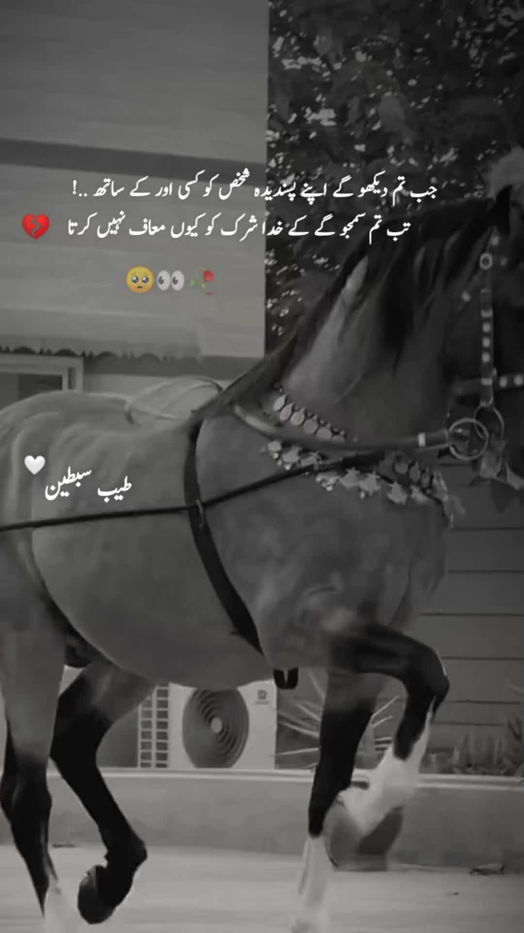 @𓆩⍣⃝𝙏𝙖𝙮𝙖𝙗 𝙎𝙞𝙗𝙩𝙖𝙞𝙣࿐