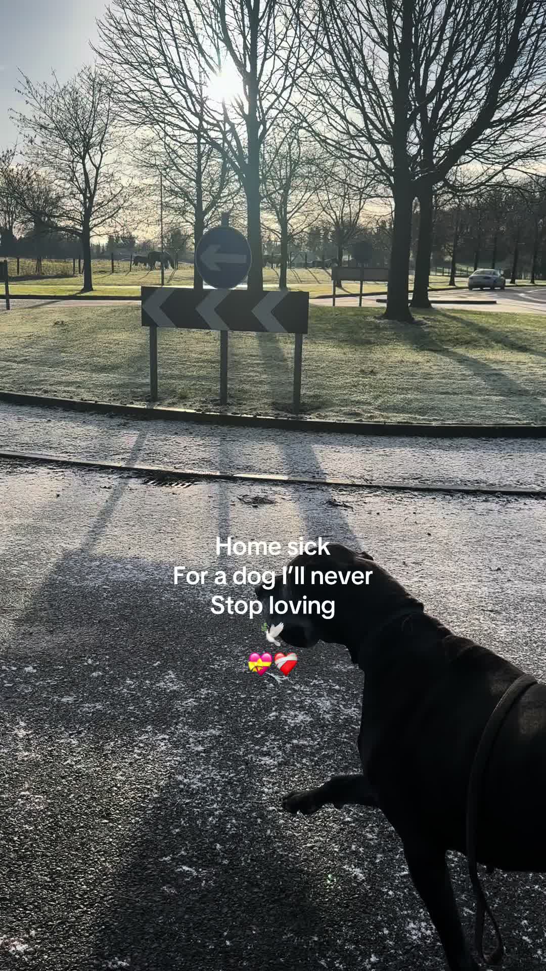 @Jansseen