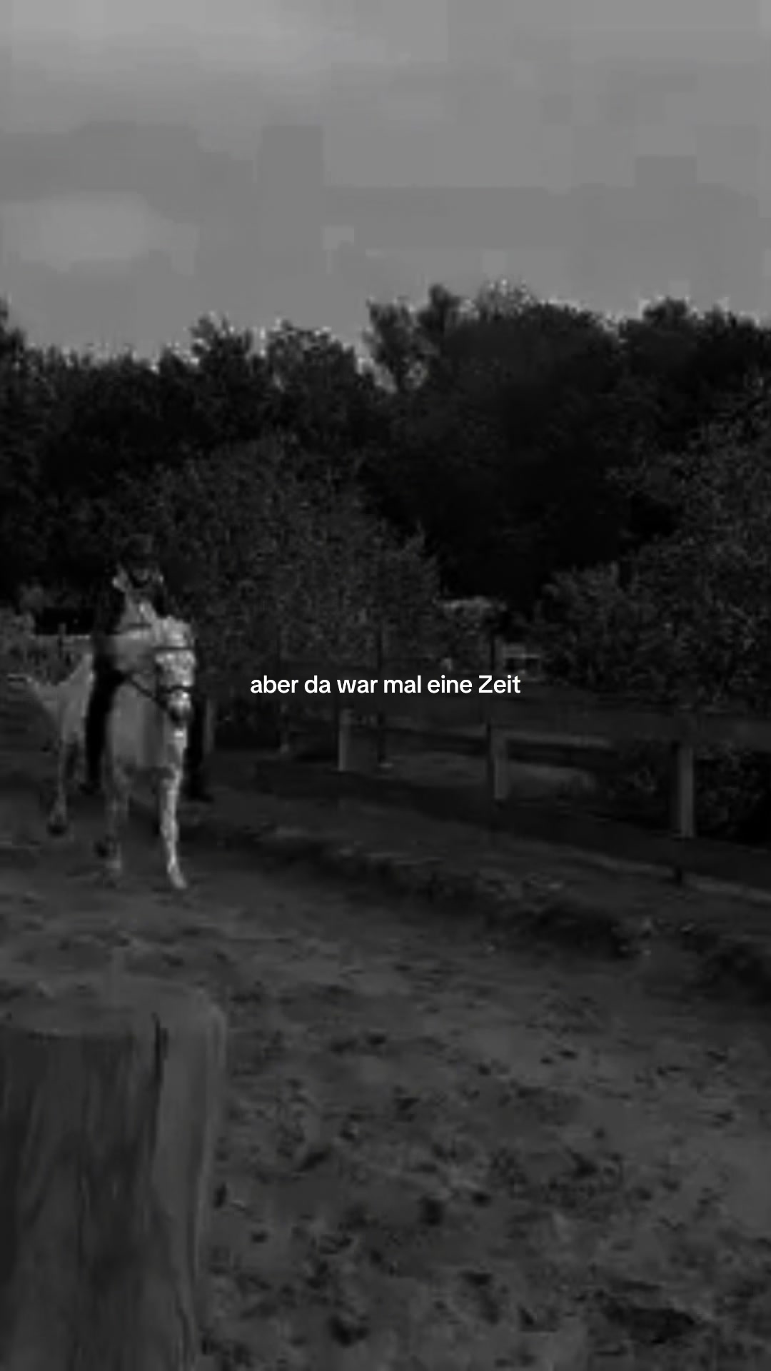 @Elisa Johanna