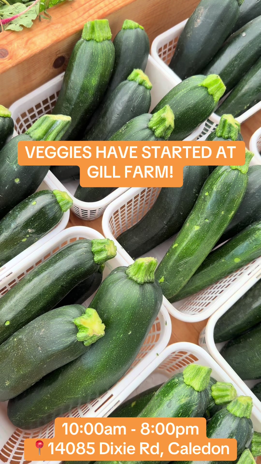 @GillFarm_Caledon