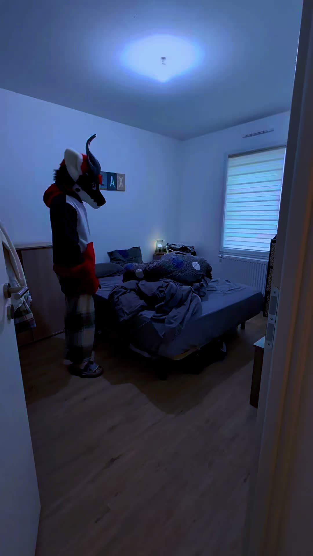 @KITJUNE