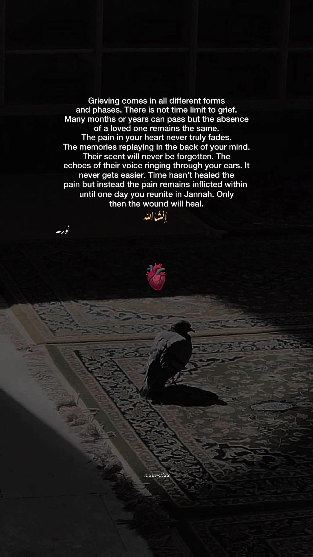 @نور🦢