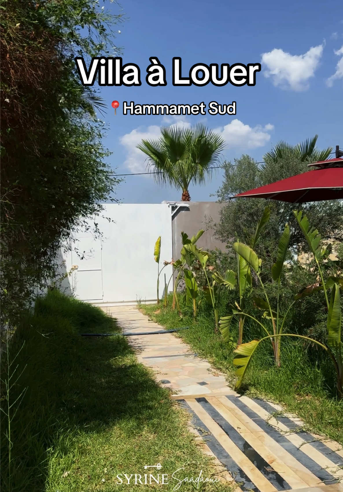 @syrina realestate