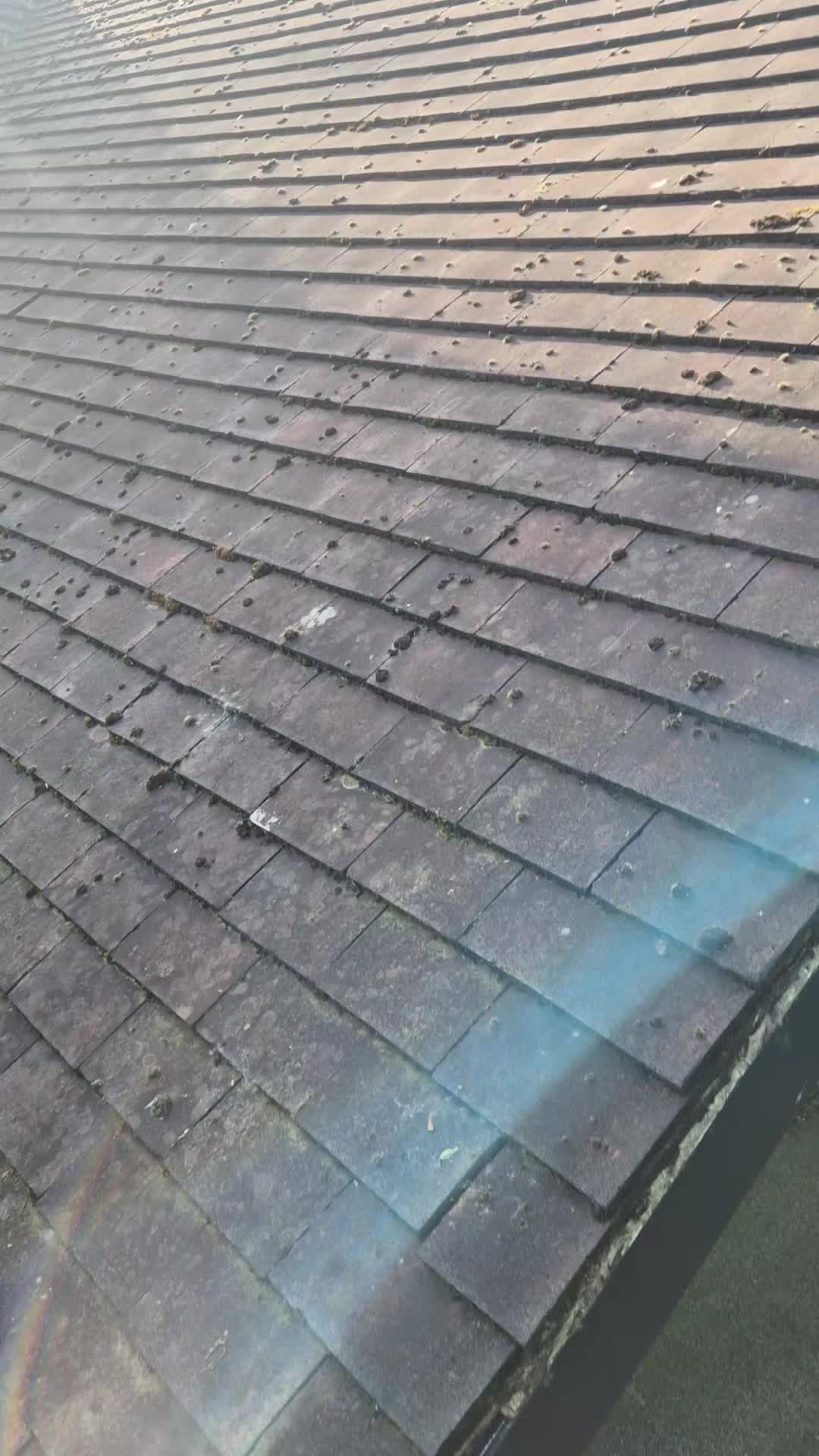 @dwebsterroofing