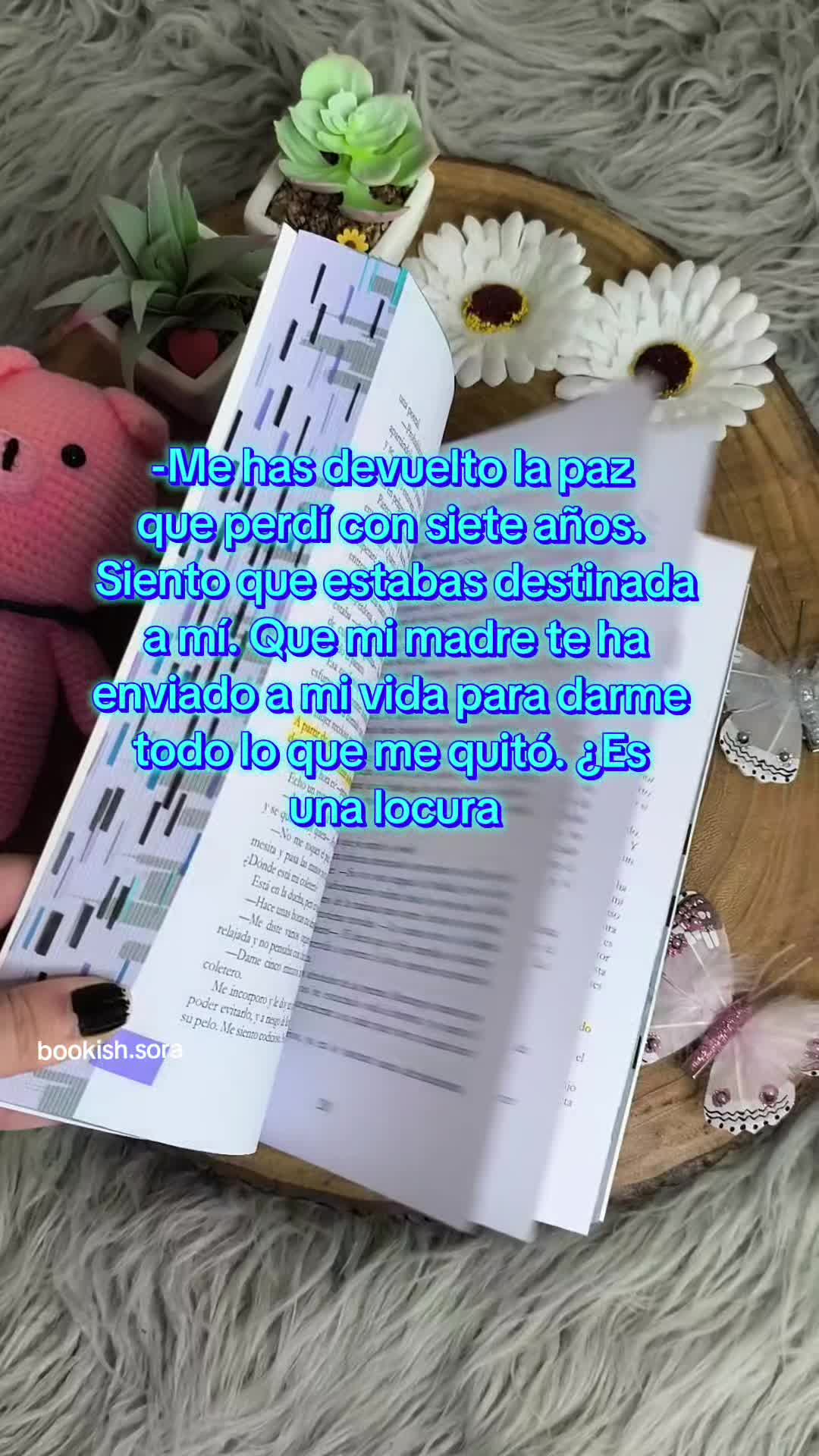 @Sora Bookish