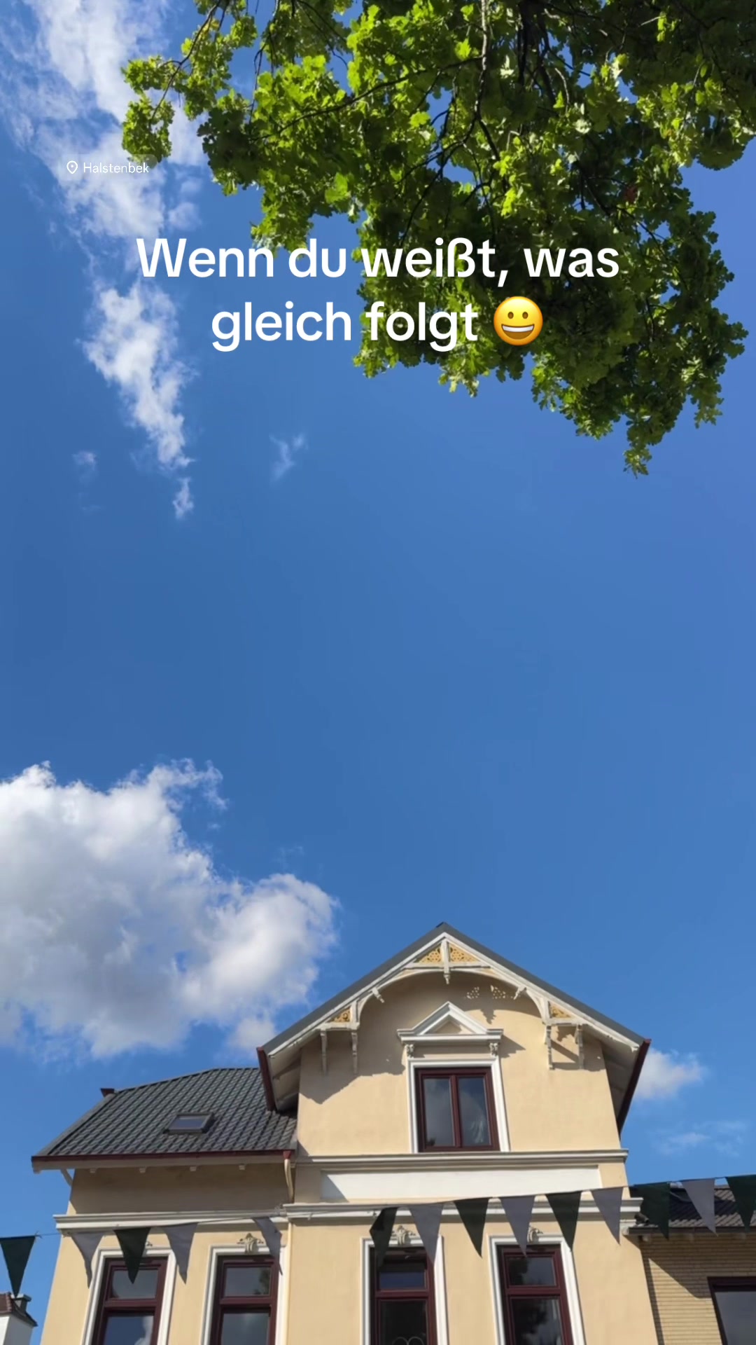 @timosblickfang