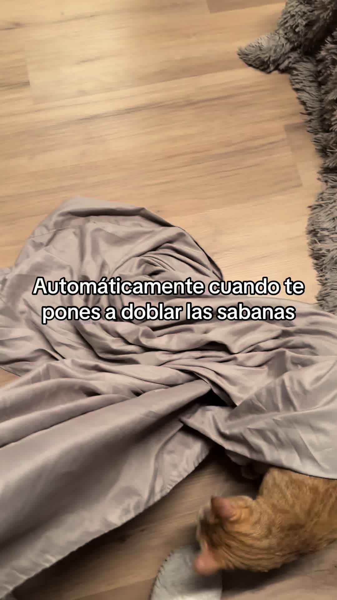 @Emma Bescós